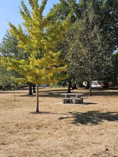 Deshler Park - Columbus, OH