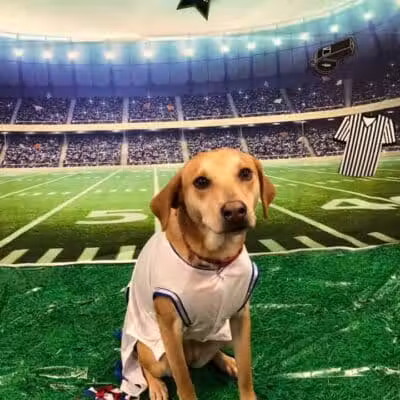 Dogtopia of Columbus-Downtown - Columbus, OH