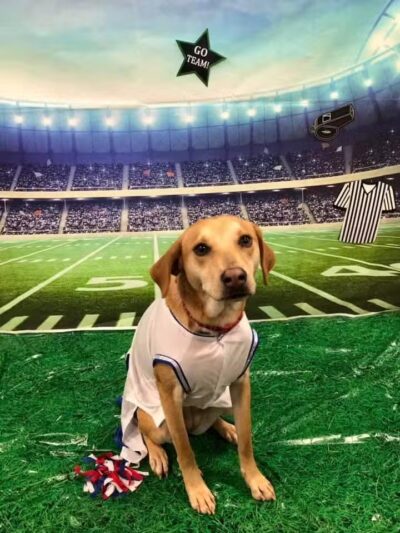 Dogtopia of Columbus-Downtown - Columbus, OH