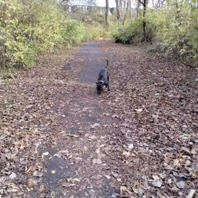 Driving Park - Columbus, OH