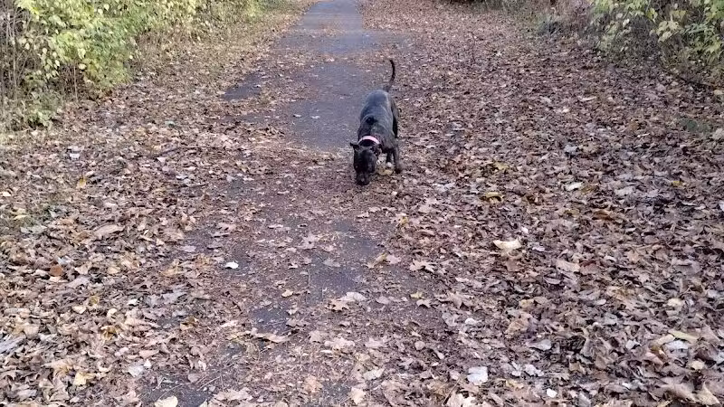 Driving Park - Columbus, OH