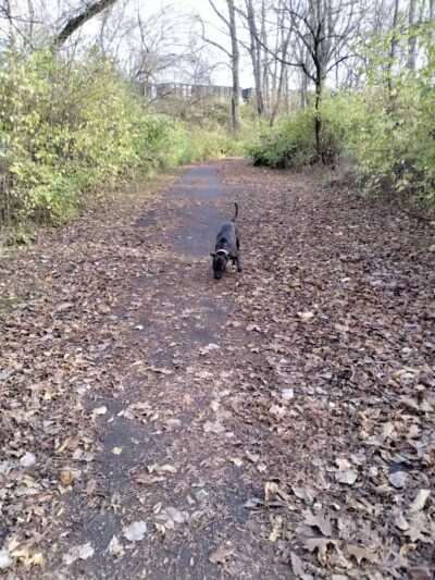 Driving Park - Columbus, OH