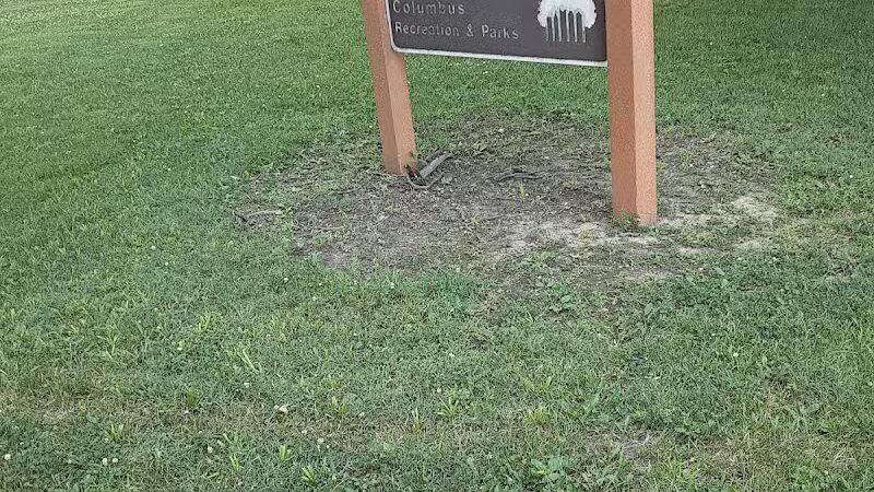 Forest Park East - Columbus, OH