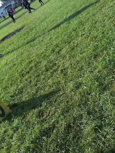 Forest Park East - Columbus, OH