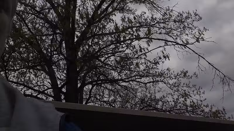 Forest Park East - Columbus, OH