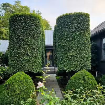 Frank Fetch Park - Columbus, OH