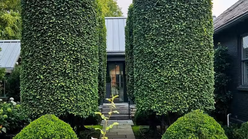 Frank Fetch Park - Columbus, OH