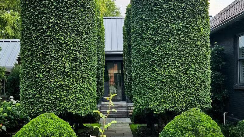 Frank Fetch Park - Columbus, OH