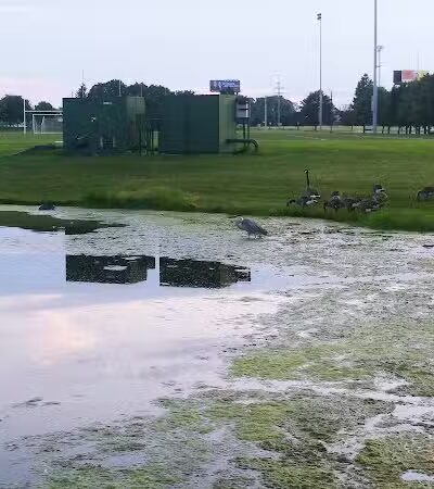 Fred Beekman Park - Columbus, OH