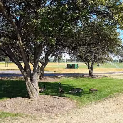Fred Beekman Park - Columbus, OH
