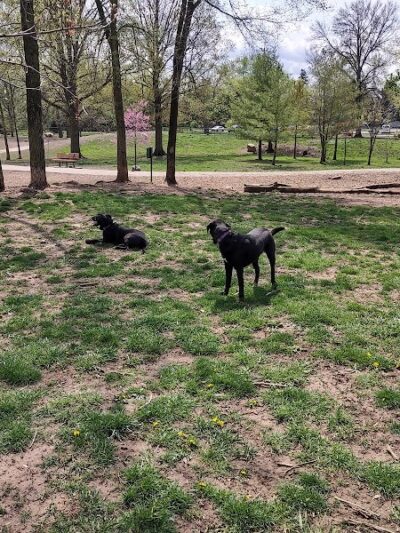 Godown Park - Columbus, OH