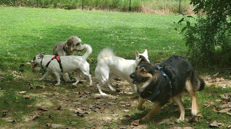 Godown Park - Columbus, OH