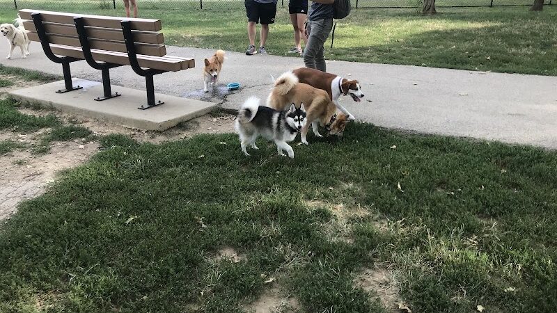 Godown Park - Columbus, OH