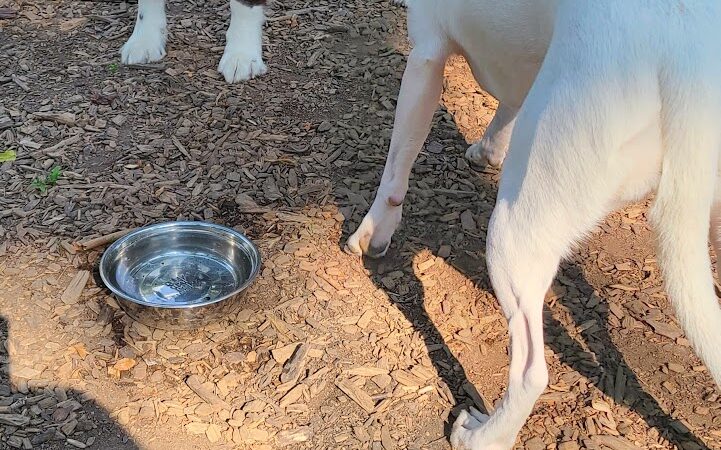 Godown Park - Columbus, OH