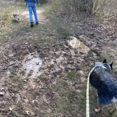 Goldenrod Pet Trail - Columbus, OH