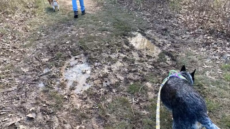 Goldenrod Pet Trail - Columbus, OH