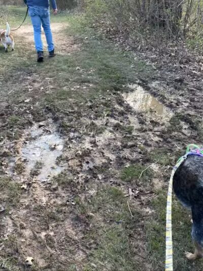 Goldenrod Pet Trail - Columbus, OH