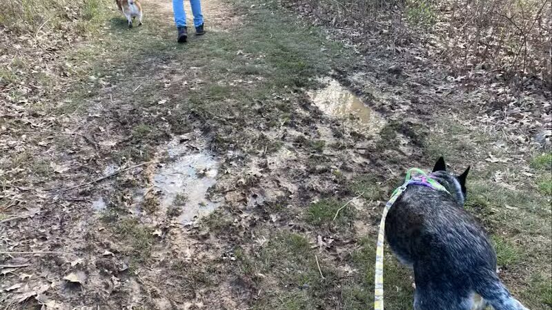 Goldenrod Pet Trail - Columbus, OH