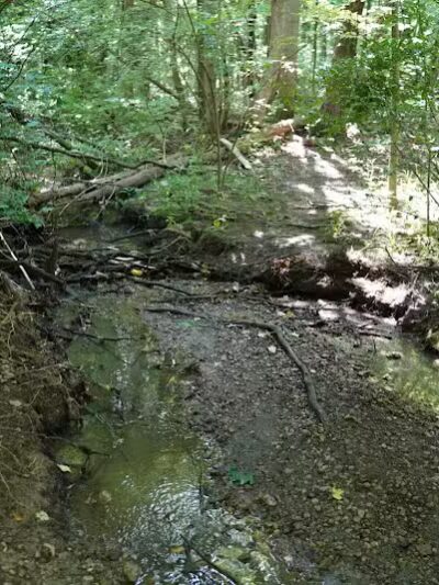 Goldenrod Pet Trail - Columbus, OH