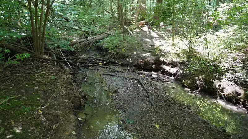 Goldenrod Pet Trail - Columbus, OH