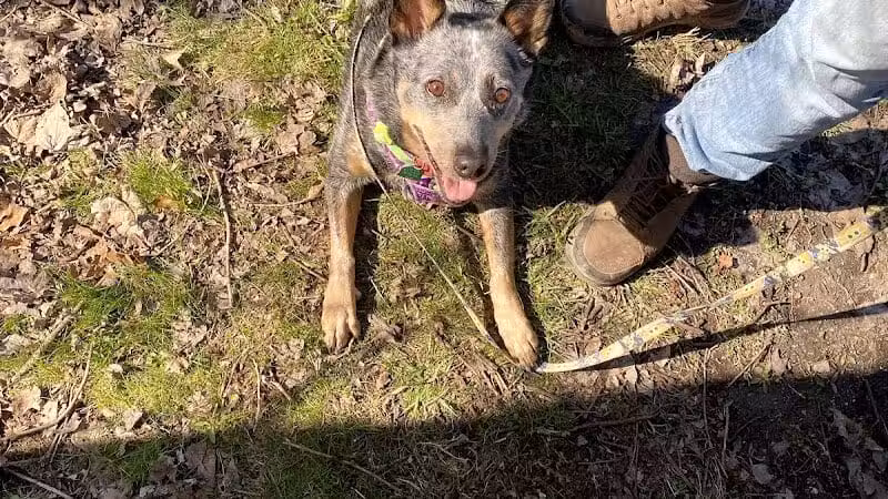 Goldenrod Pet Trail - Columbus, OH