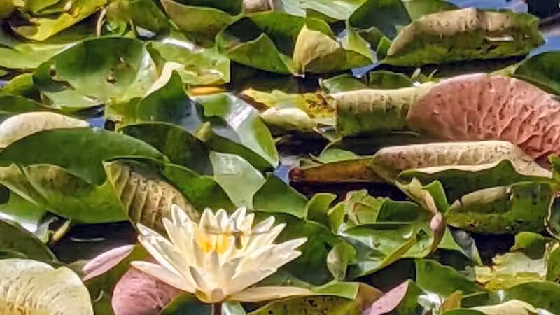 Goodale Park - Columbus, OH