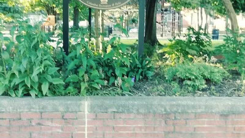 Harrison West Park - Columbus, OH