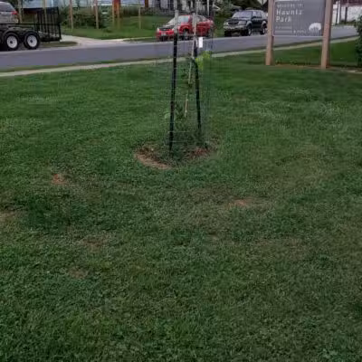 Hauntz Park - Columbus, OH