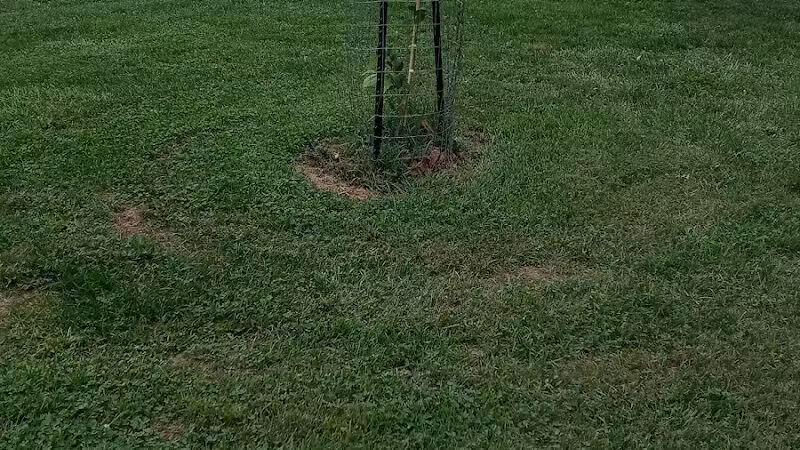 Hauntz Park - Columbus, OH