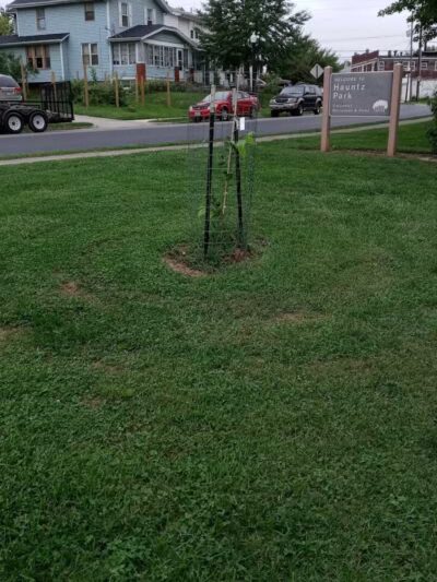 Hauntz Park - Columbus, OH