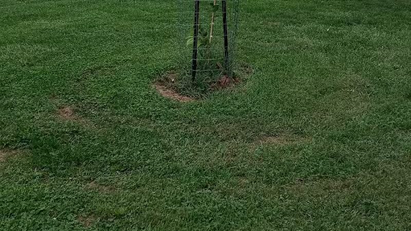 Hauntz Park - Columbus, OH