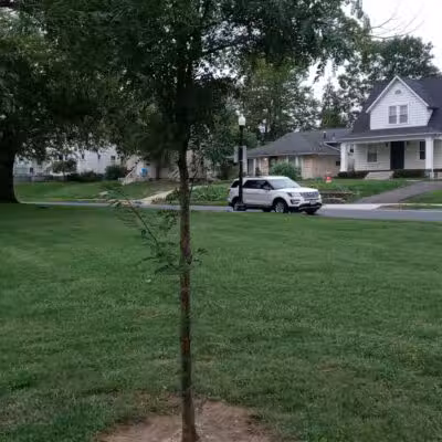 Hauntz Park - Columbus, OH