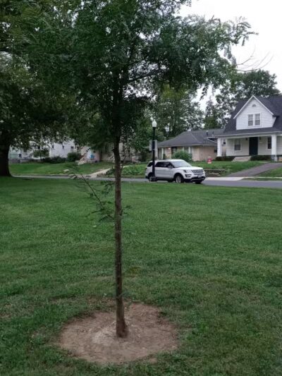 Hauntz Park - Columbus, OH