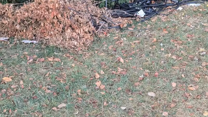 Helsel Park - Columbus, OH