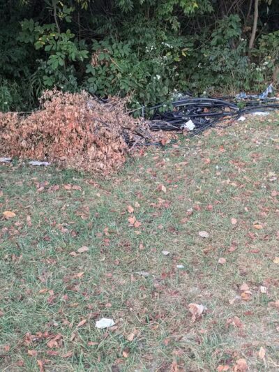 Helsel Park - Columbus, OH