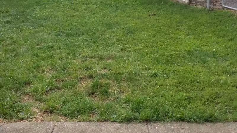 Helsel Park - Columbus, OH