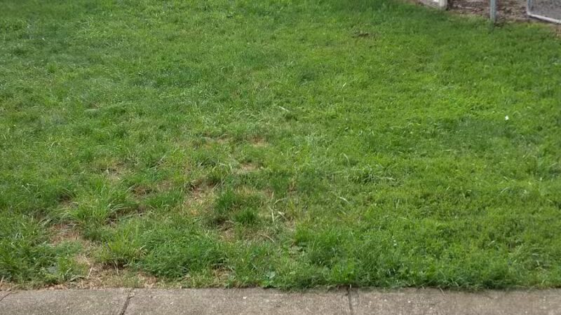 Helsel Park - Columbus, OH