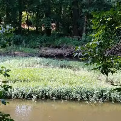 Helsel Park - Columbus, OH