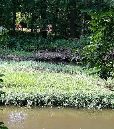 Helsel Park - Columbus, OH