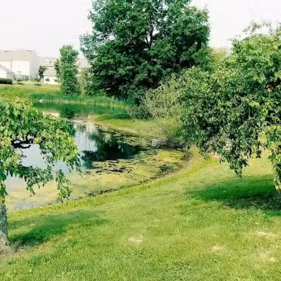 Highbluffs Park - Columbus, OH