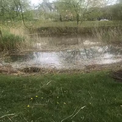 Highbluffs Park - Columbus, OH