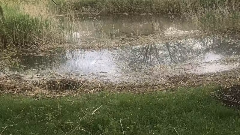 Highbluffs Park - Columbus, OH
