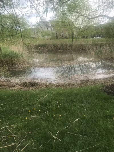 Highbluffs Park - Columbus, OH