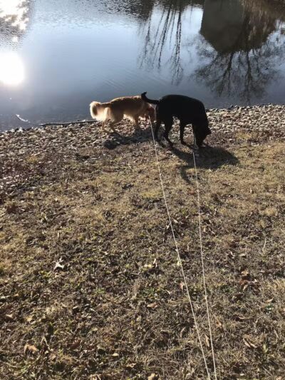 Highbluffs Park - Columbus, OH