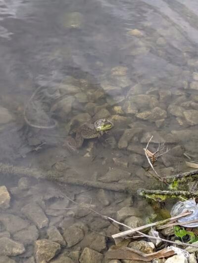 Highbluffs Park - Columbus, OH