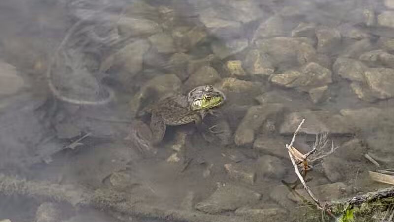 Highbluffs Park - Columbus, OH