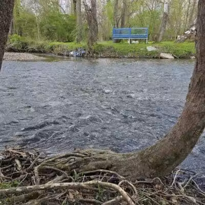 Innis Park - Columbus, OH