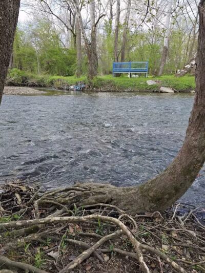 Innis Park - Columbus, OH