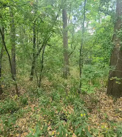 Innis Park - Columbus, OH