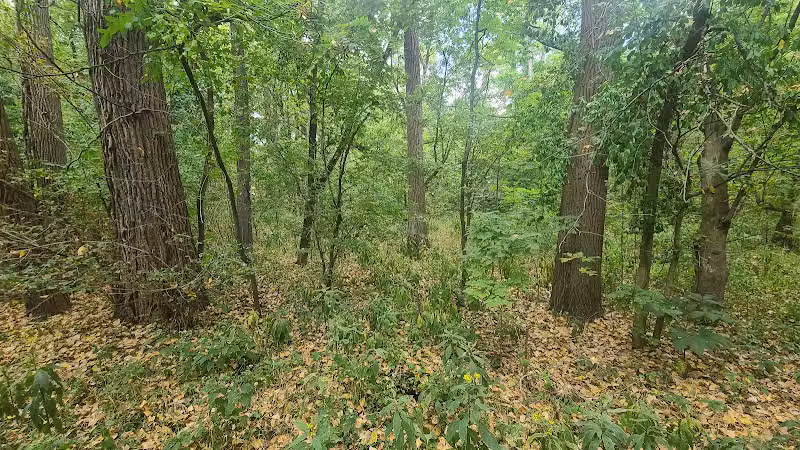 Innis Park - Columbus, OH